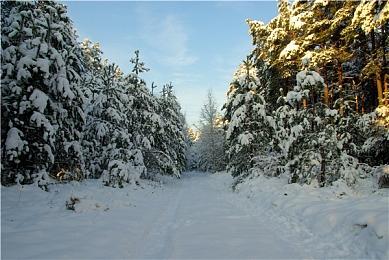 《合金装备3：重制版》本打算只进行一下画质升级